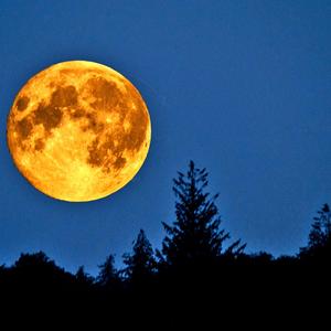 OutKasts (feat. higgins, CapsCtrl & LarryBeats)