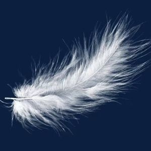 属于(prod.by Morrow)