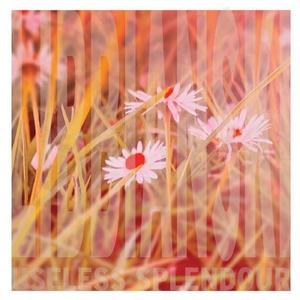 No Respect for Breathing