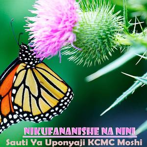 Fahari Yangu Ni Yesu