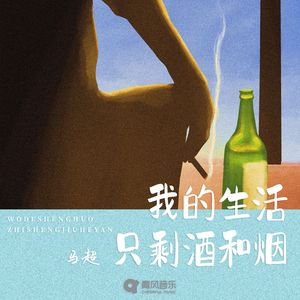 我的生活只剩酒和烟