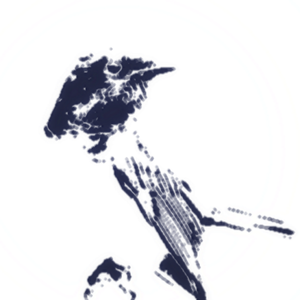 蓝鸟（Prod by SCORPION）