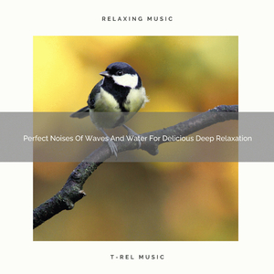 Best Noise of Colours Induces Rest and Recharges