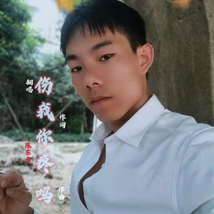 伤我你疼吗（翻自 陈宗云）