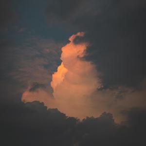 往者不可谏，来者犹可追