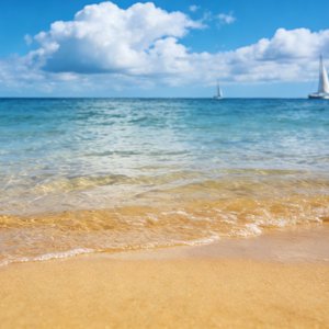 夏日海岸线.mp3