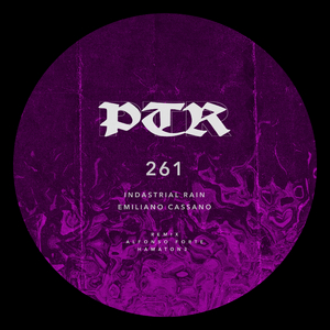 INDASTRIAL RAIN (Hamaton3 Remix)