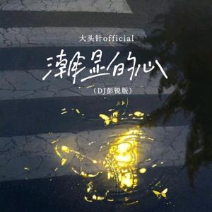 潮湿的心(大头针 版)（彭锐版）