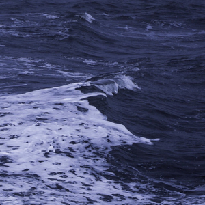 迷途（prod by Salder4cash）