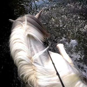 Raim,_Artur,_Adil_-_Симпа_(Mikis_Remix_Extended)