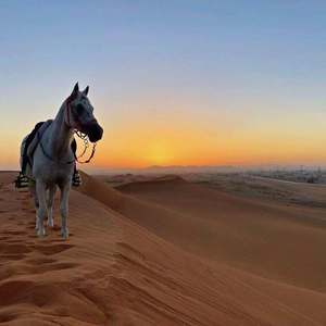 你是人间四月天