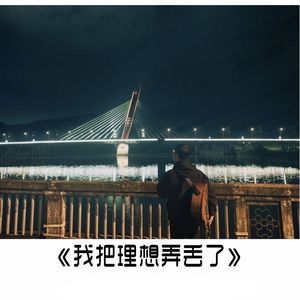 我把理想弄丢了