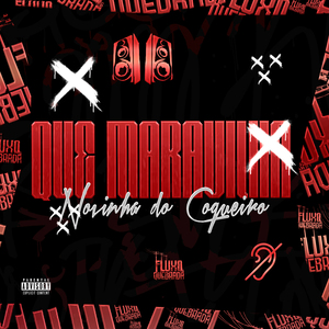 Que Maravilha x Novinha do Coqueiro