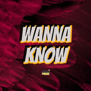 Wanna Know (feat. LaXXX, Jaytee & Freddie Boi)