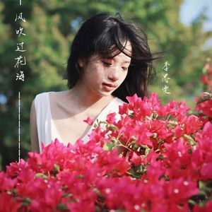 风吹过花海 伴奏