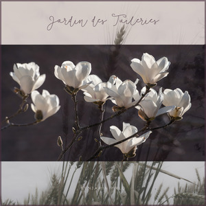 Jardin des Tuileries