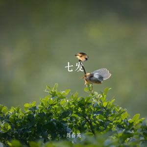 七发