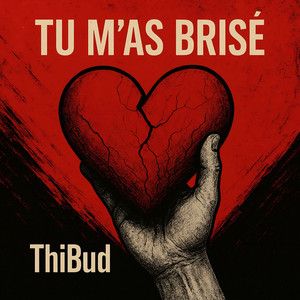 Tu m'as brisé