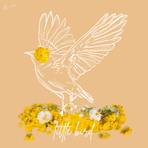 Little Bird