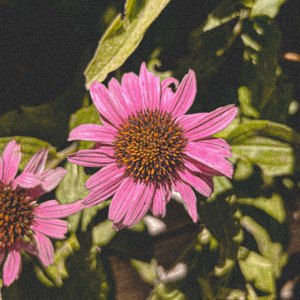 ranting (Instrumental)