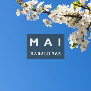 Gratulerer Med Dagen