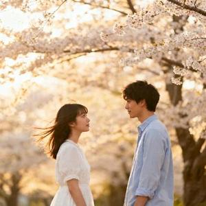 如果来生再相见