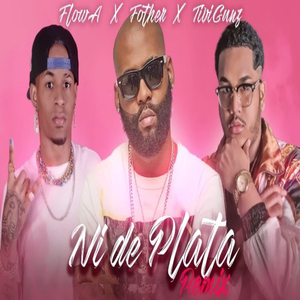 Nide plata (Remix)