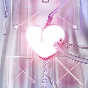 anime lover (sped up)