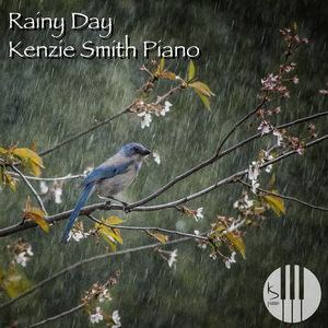 Rainy Day
