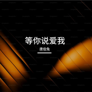 等你说爱我