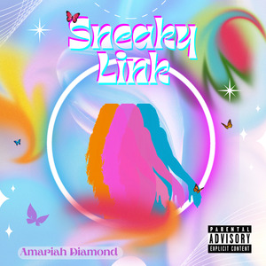 Sneaky Link