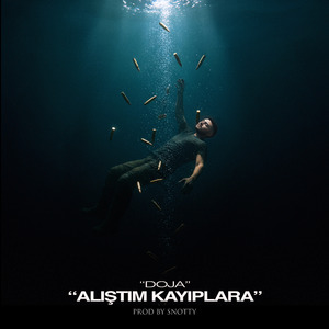 Alıştım Kayıplara