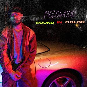 WildBerry (Damn Baby)