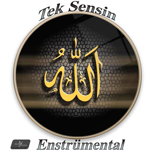Tek Sensin (Enstrumantal)