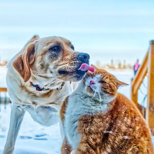 距离不是问题（Prod.Gr33nart Beats）