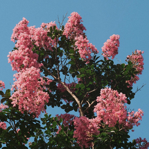 同じ気持ち -ひとり-
