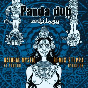 Natural mystic (Hybridub remix)