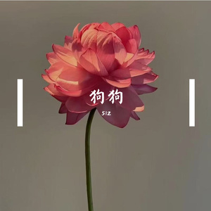 小狗