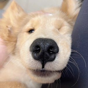 爱如火
