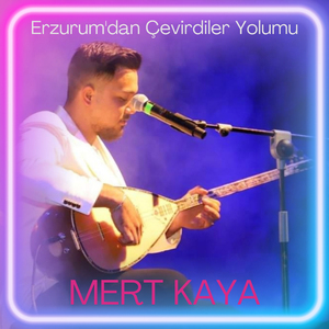 Erzurum'dan Çevirdiler Yolumu