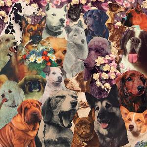 ballin at last (feat. Homeboy Sandman, andrew & Jesse the Tree)