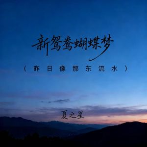 新鸳鸯蝴蝶梦（昨日像那东流水）