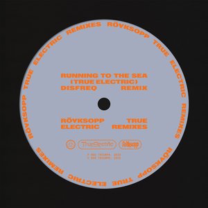 Running To The Sea (Disfreq Remix)
