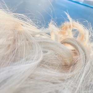 Constant as the Waves