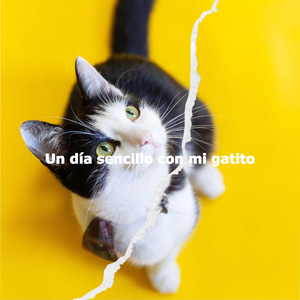 Vivacious Music for Fluffy Breakups