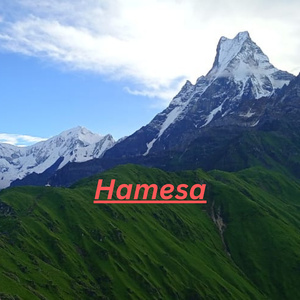 Hamesa