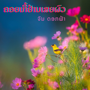 ຄອຍເກີ້ຢ້ານເສຍຜົວ