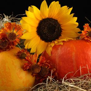 cococo_2022-03-23_095123