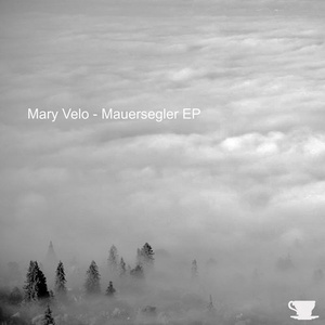 Mauersegler Original mix