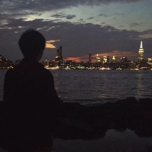 林隙光语